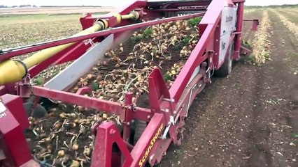 Soğan hasat makinesi