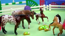 Breyer Horse Movie Video Series - Back Together Part 1 - Friends Mini Whinnies Horses