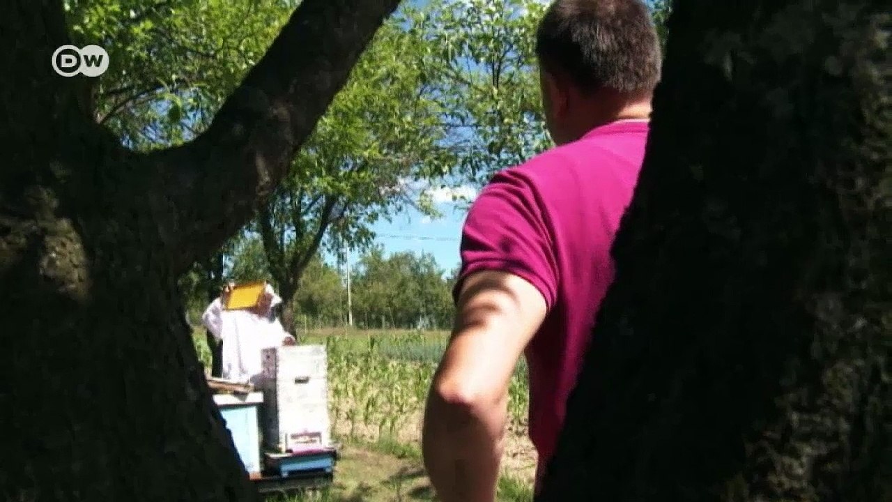 Peligro por minas en Bosnia y Herzegovina | Enfoque Europa