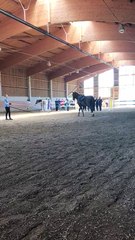 Kür Gilching SGM II 27.05.17