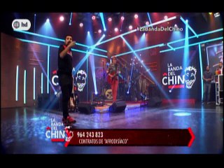 Once Machos estara en el Corso de Wong