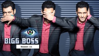 Big Boss 11's Full final list of Contestants
