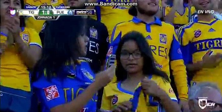 Lucas Zelarrayan Goal ~ UANL Tigres vs Puebla 1-0