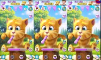 Funny Stuff with Talking Ginger 2-Funny free game for iPhone / iPad, Android