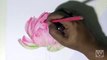 Step by Step | How to draw, color a white Magnolia flower with colored pencils | Emmy Kali