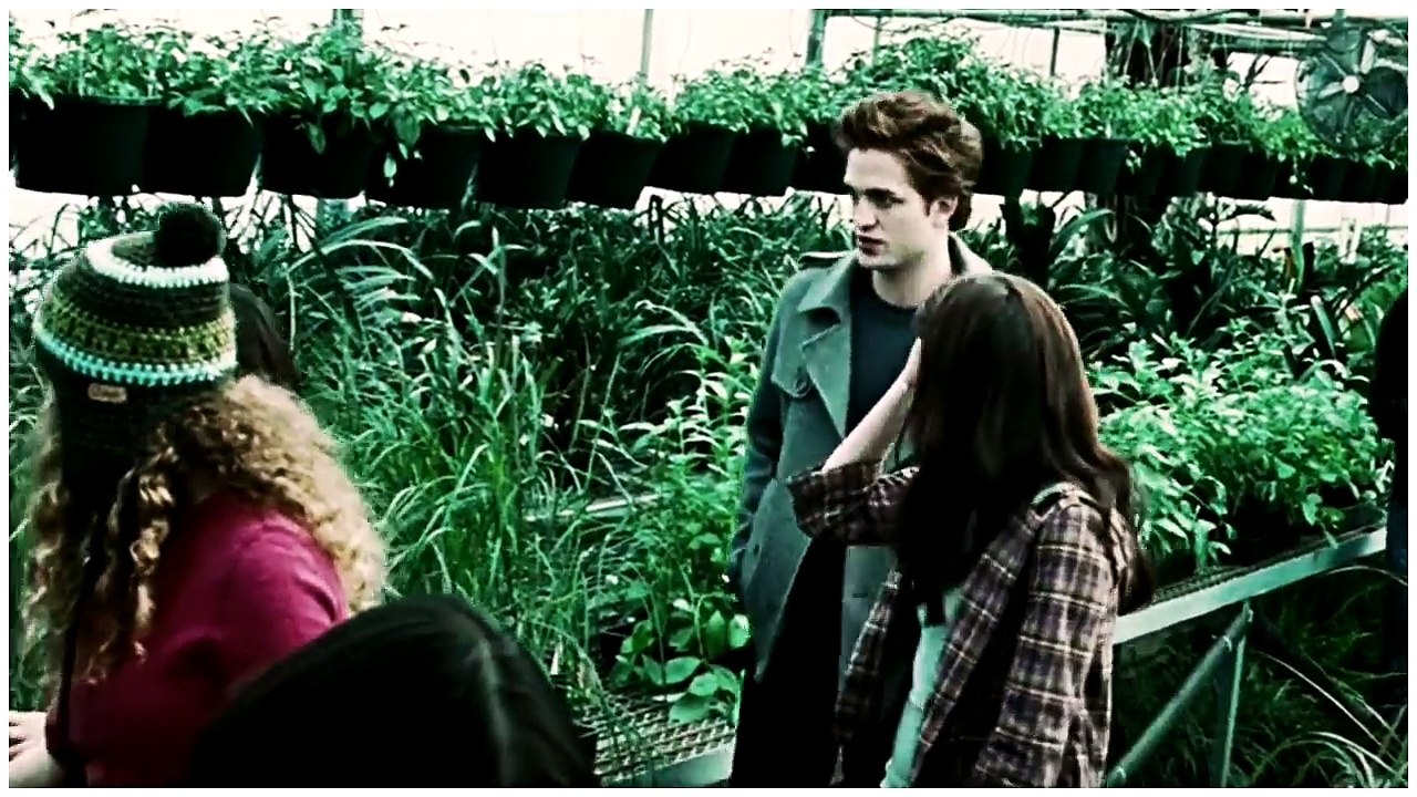 A HISTÓRIA DE BELLA E EDWARD   Parte 1 ( Crepúsculo )