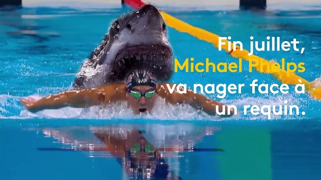 Boxeur contre ours, coureur contre autruche... Quand des sportifs affrontent des animaux