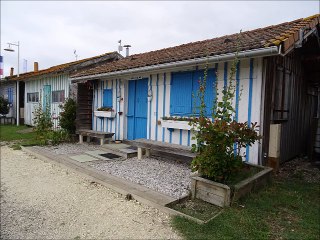 Bassin d'Arcachon 2017