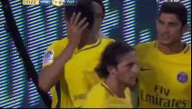 PSG vs Tottenham Hotspur 2-4 - Highlights & Goals - 22 July 2017