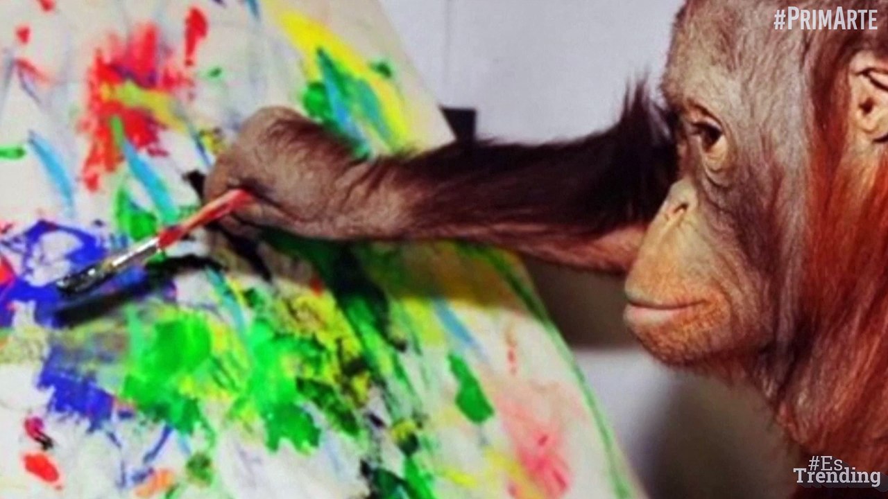 ‘Burbujas’: el chimpancé de Michael Jackson que ahora brilla por su arte