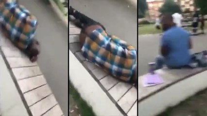 Le plat humain préféré des mouches..