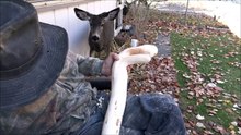 Incredible skills by master carver Mike Stinnett