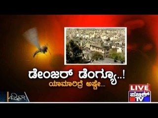 Danger Dengue: What We Can Do As Citizens To Avoid Dengue