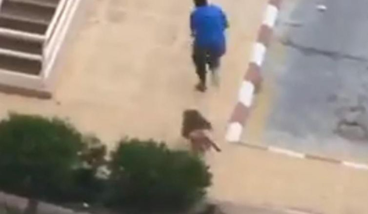 Maymunlar adamı kovaladı