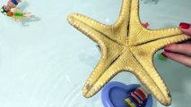 11 GORGEOUS SEA ANIMALS SURPRISE TOYS 3D PUZZLES FOR KIDS - Hammerhead Shark Whale Manta R