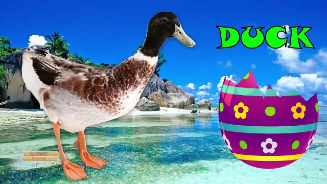 3. Америка животные капитан динозавр Пасха Яйца Семья ферма палец имен супергерои против |