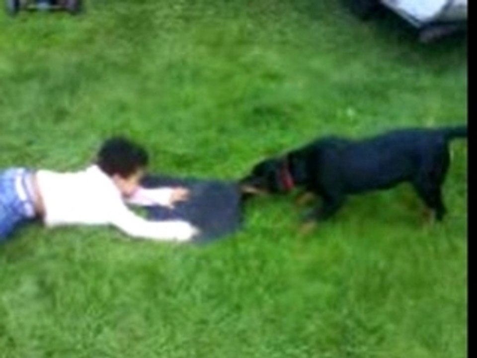 Baby rott