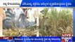 Belagavi: Farmers Burn Sugar Cane Fields
