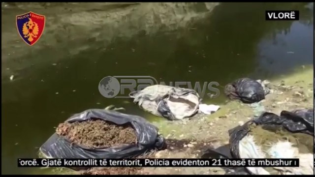 Ora News - Vlorë, gjenden 210 kg kanabis në lumin Shushicë