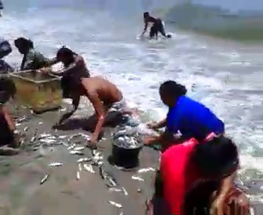Funny video fish catching