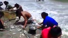 Funny video fish catching