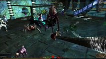 Raptr Test Upload Guild wars 2