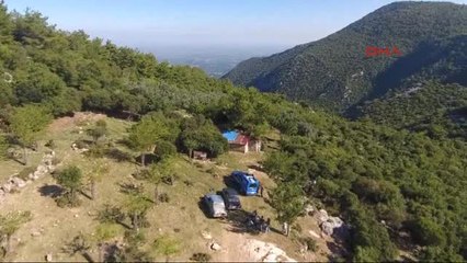 Adana Jandarma 3 Bin 680 Kök Hint Kenevirini Söktü