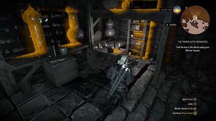 The Witcher 3: Wild Hunt – Invisible man.