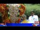 Bengaluru: 202nd Flower Show At Lal Bagh Inaugurated By Mysuru Royal Family