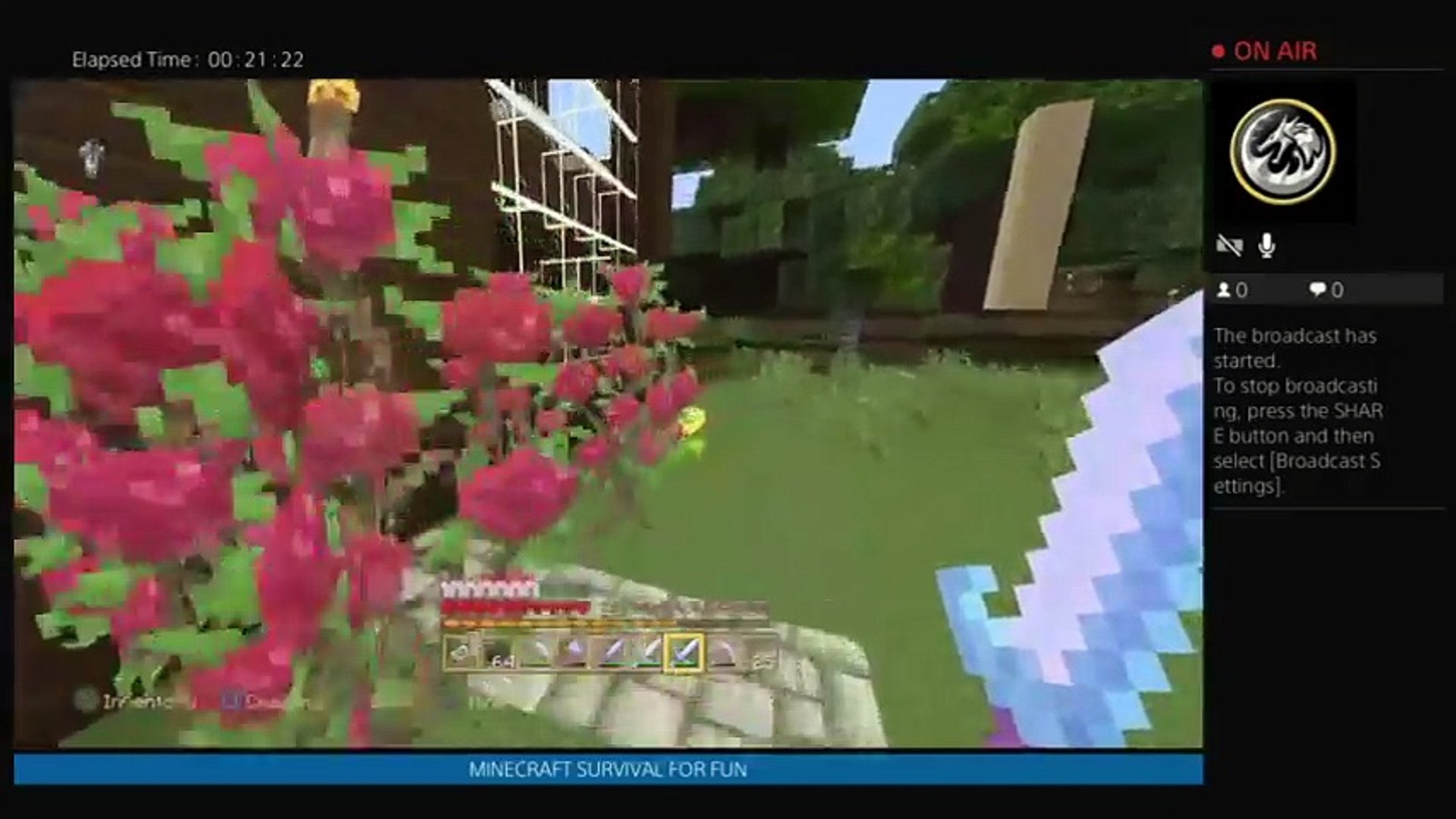 MINECRAFT SURVIVAL PART 5 (7)