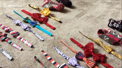 Dapper cats show off bow tie collection