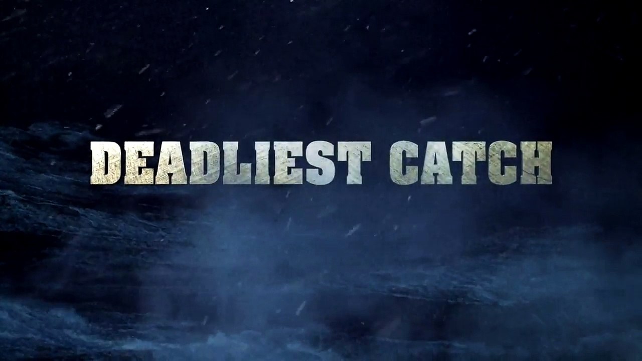How Do You Know Visibilitys Bad On The Bering Sea? Birds Start Flying Into Your Boat.