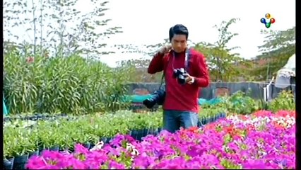 PNN កញ្ញាអំពិលផ្អែម, Part 01