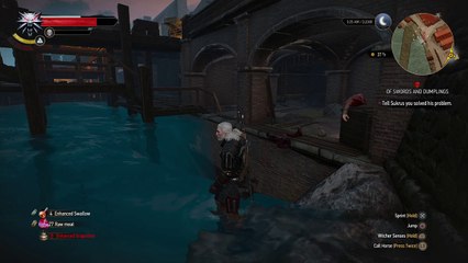 The Witcher 3: Wild Hunt – Water Bug