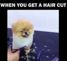 WHEN YOU GET A HAIR CUT ! SO CUTE