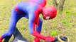 Spiderman & Hulk Vs Doctor! w/ Pocahontas & Evil Witch - Superhero Fun in Real Life :)