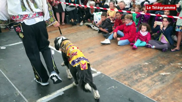 Concarneau. Un défilé de chiens et de maîtres original au festival du polar