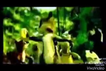Over The Hedge Winnie The Pooh (2003) DVD & VHS Trailer Reversed