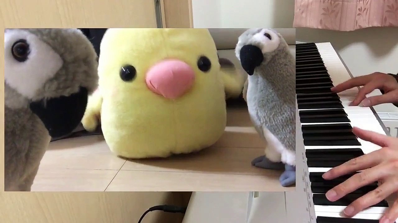 おかあさんといっしょ　【ふゆのあいだ】　ピアノで弾いてみた　歌　動画