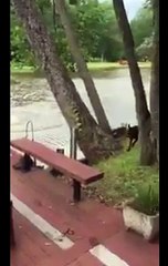 Hayatınızda sizin için böyle endişe edecek kaç insan var ?