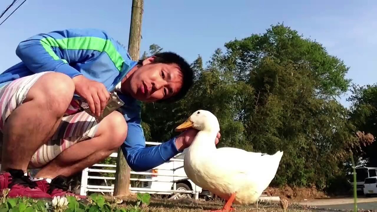 「とり」おかあさんといっしょ（cover〜フルversion）