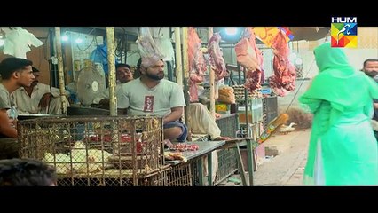 Kitni Girhein Baqi Hain Episode 33 - 23rd July 2017