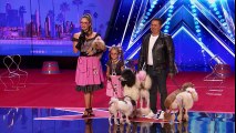 Pompeyo Family Dogs- Animal Act Entertains With Their AGT Audition - America's Got Talent 2017