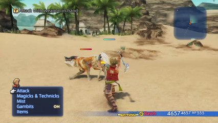 Basch Hammer and Shield Moveset