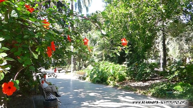 Corsi di spagnolo per gruppi di ragazzi e giovani in Spagna - Vacanze studio spagnolo a Malaga