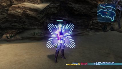 Basch Crossbow Moveset