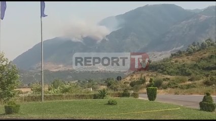 Report TV - Tepelenë, zjarr në fshatin Luzat, digjen 10 ha kullotë e 5 ha pyje
