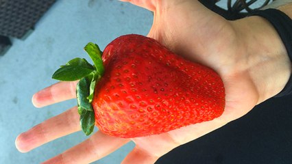 Funny photos showing people winning the food lottery