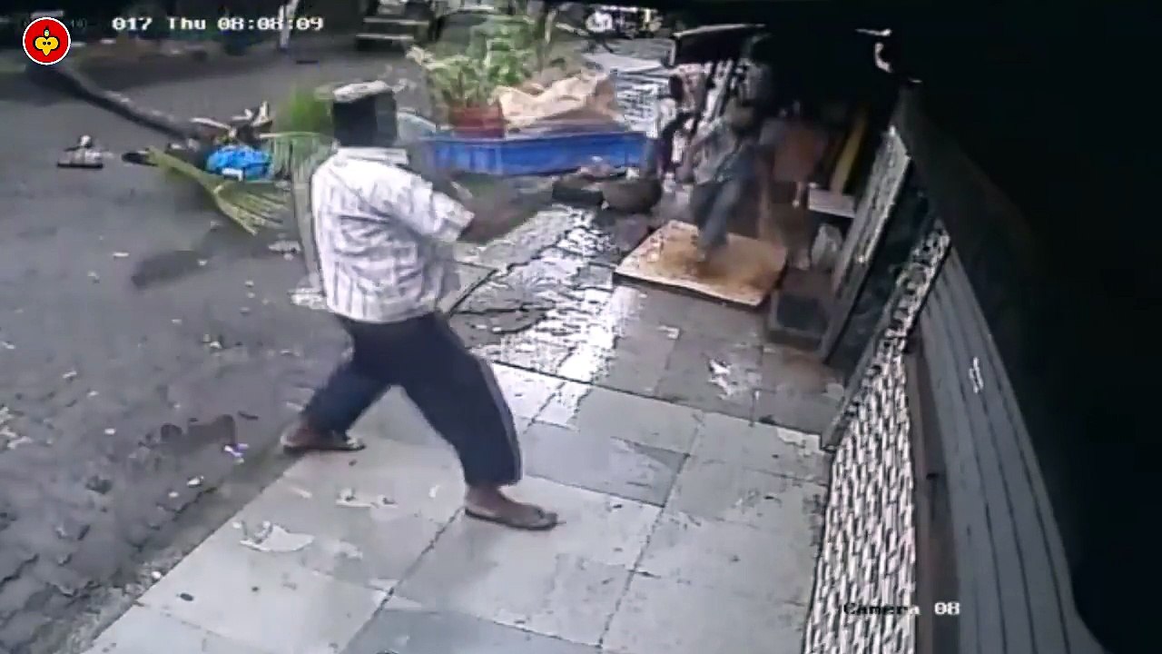 Doordarshan Anchor Dies After Coconut Tree Falls On Her | Boom Indya