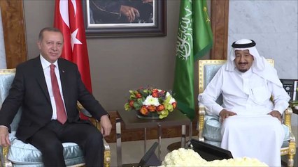 أردوغان يلتقي سلمان ويدعو الرياض لحل أزمة الخليج